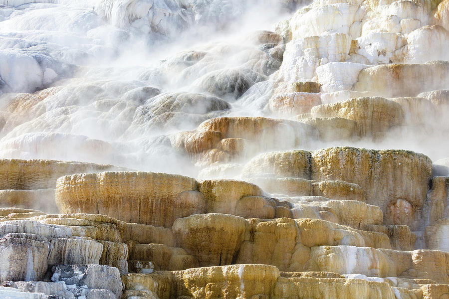 Steam Rising from Palete Spring, Yellowstone National Park Photograph ...