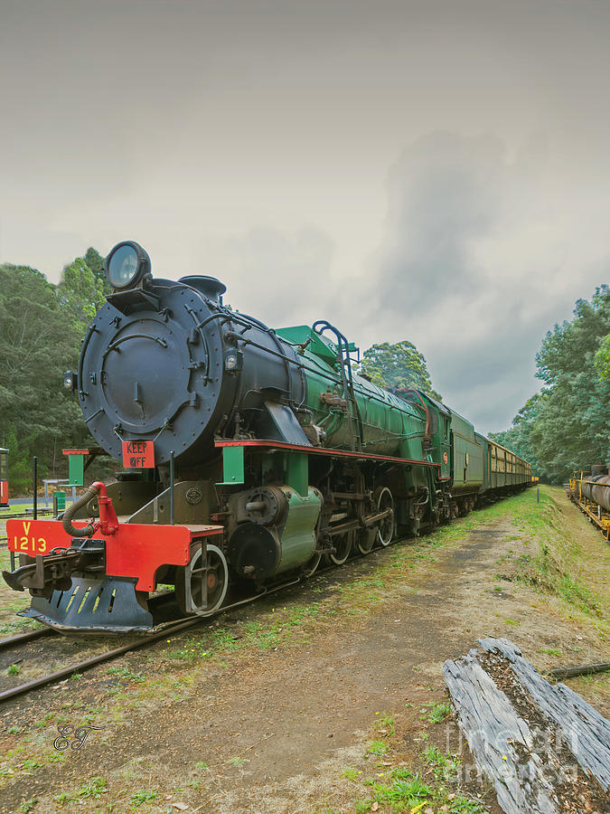 Steam Train Photograph by Elaine Teague
