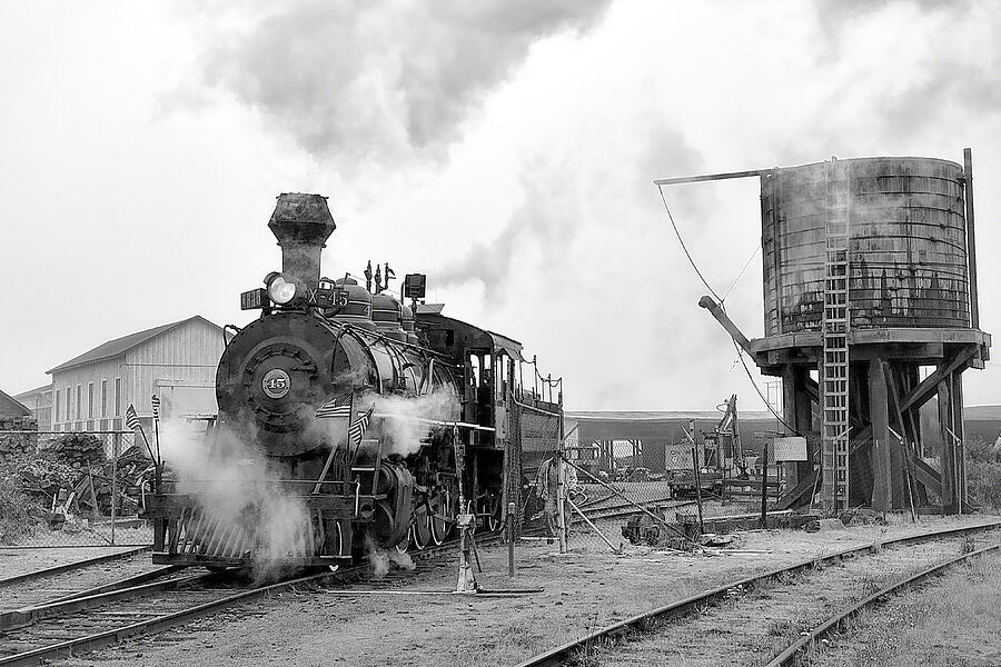 Steam Train Morning Photograph by William Havle