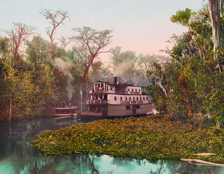 Steamboat On The Ocklawaha - Florida - 1902 Photochrom Photograph by War Is Hell Store