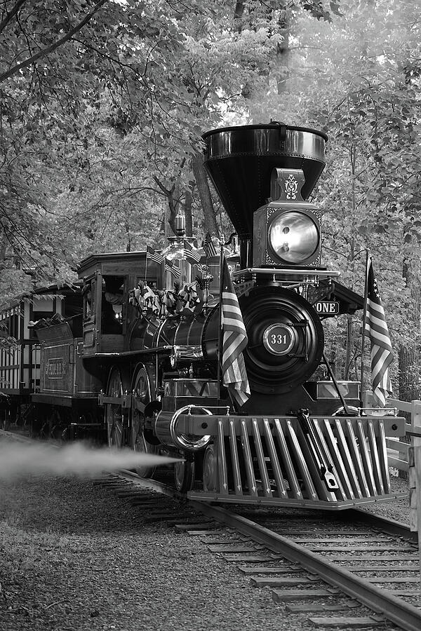 Steaming Ahead Photograph by Richard Reeve Steaming Ahead Photograph by Richard Reeve