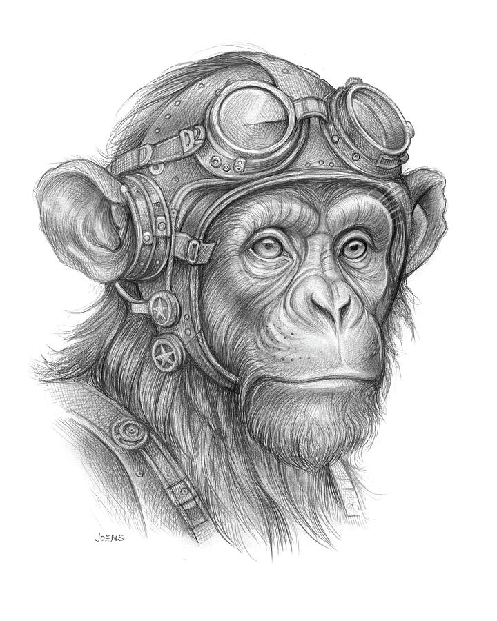 Goggle Drawing - Steampunk Chimp by Greg Joens Goggle Drawing - Steampunk Chimp by Greg Joens