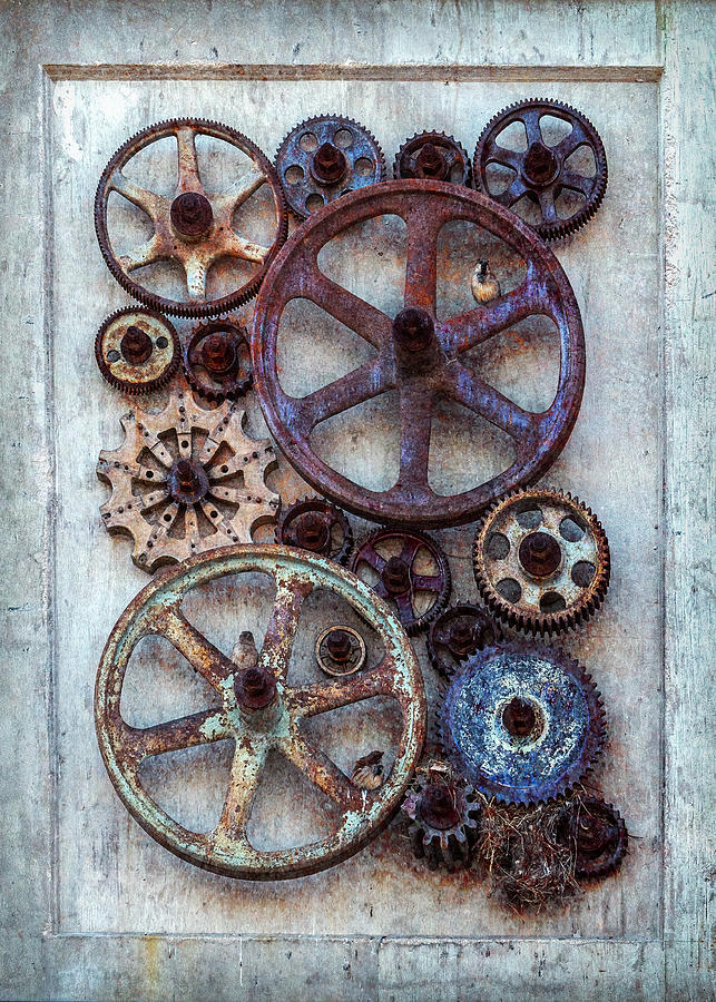 Bird Photograph - Steampunk Gears Collage IV by Patti Deters