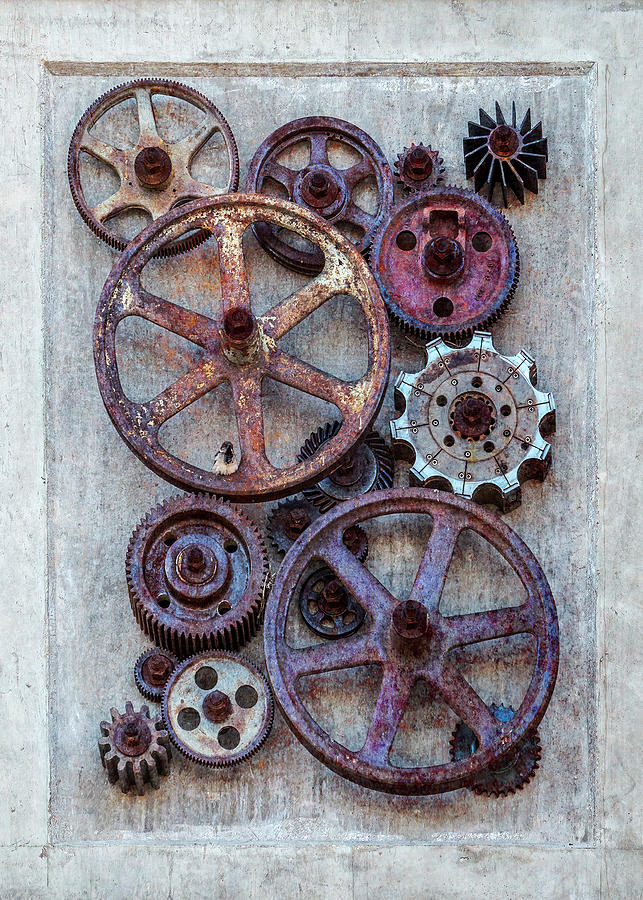 Bird Photograph - Steampunk Gears Collage V by Patti Deters
