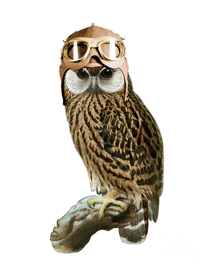 Vintage Digital Art - Steampunk Owl by Madame Memento