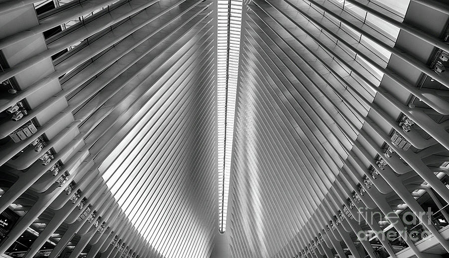 Steel Beam Feathers Photograph by George Oze - Fine Art America