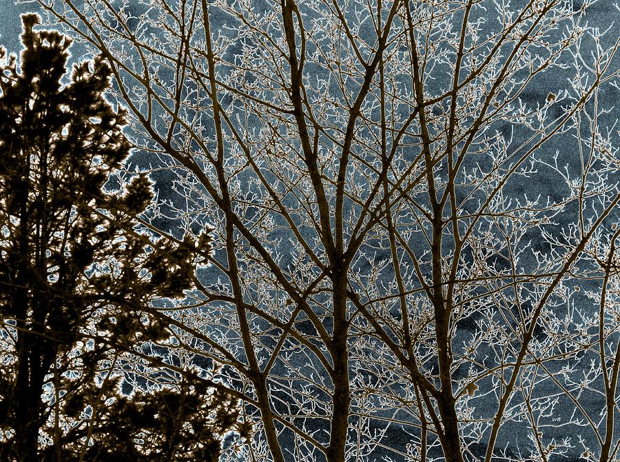 Steel Blue Winter Sky Digital Art by Will Borden