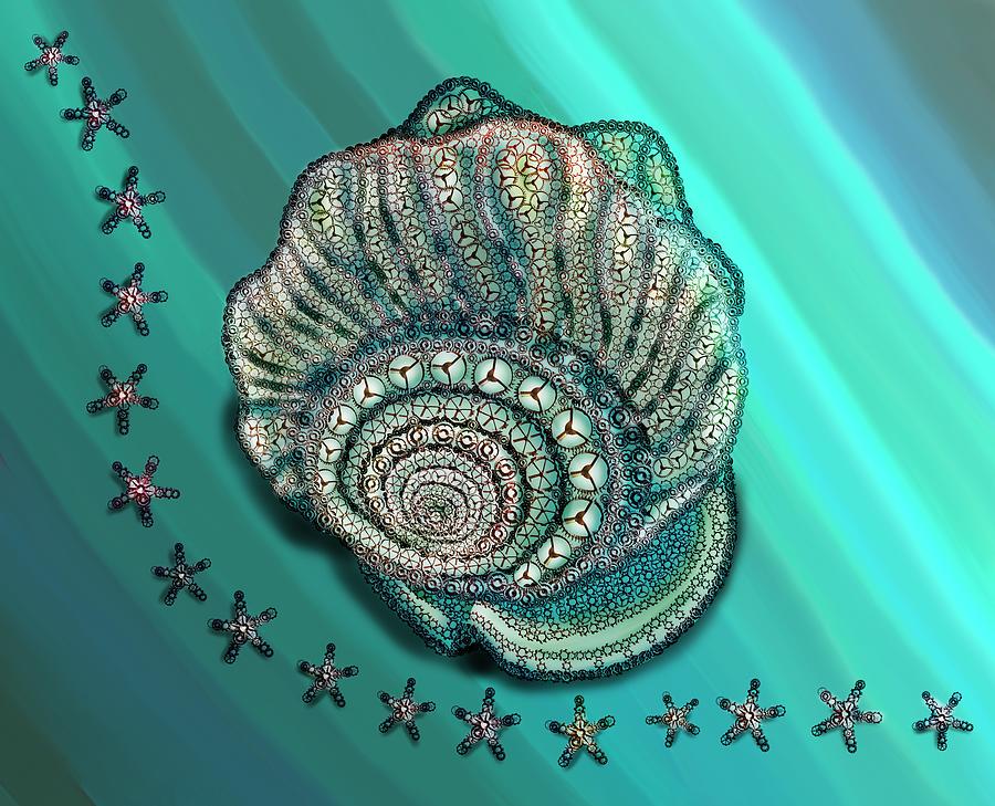 Steel Bullmouth Cassis Conch Seashell And Starfish Digital Art by Joan Stratton