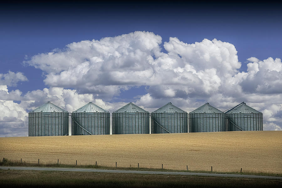 Steel Grain Storage Bins in Rural Alberta Canada Photograph by Randall Nyhof