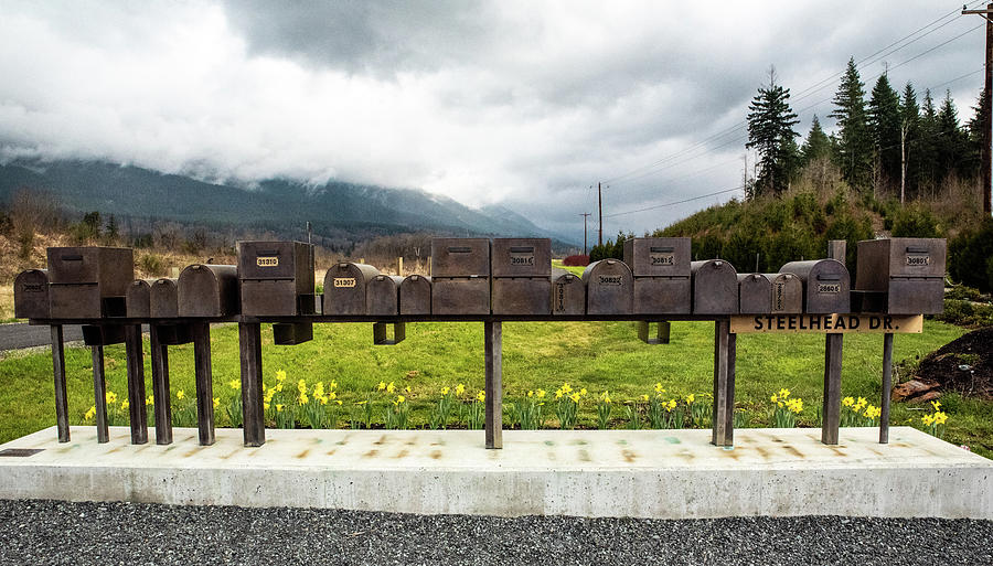 Steel Mailboxes on Steelhead Drive Photograph by Tom Cochran