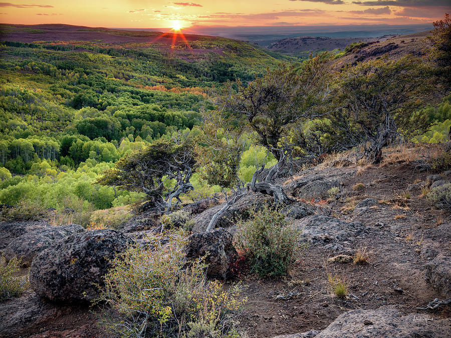 Steens Mountain Canyon View Photograph by Leland D Howard