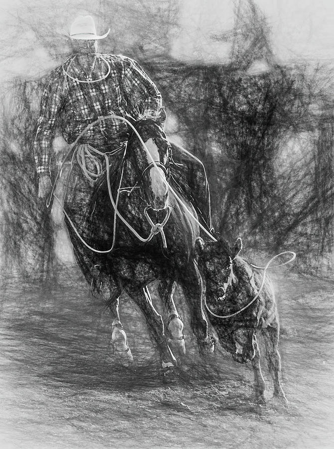 Steer Roping - 1 Sketch Digital Art by Bruce Bonnett