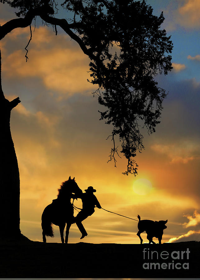 Steer Roping Cowboy in Sunset with Horse and Oak Tree Photograph by Stephanie Laird