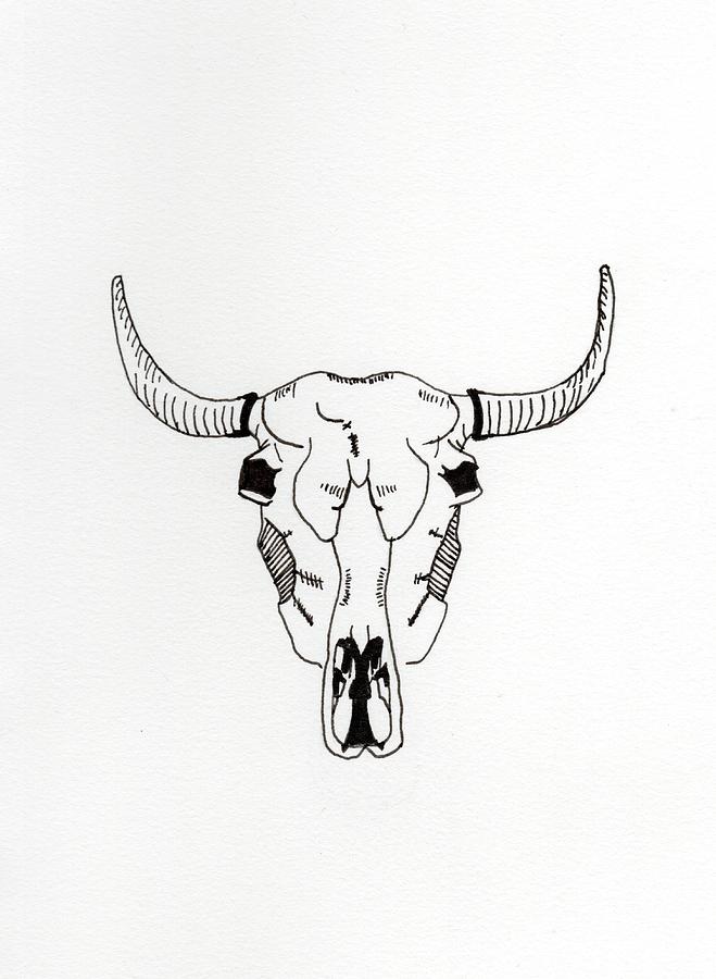 Steer Skull Drawing by Ashley Rockefeller - Fine Art America