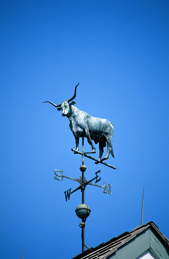 Steer weather vane Photograph by Brand X Pictures