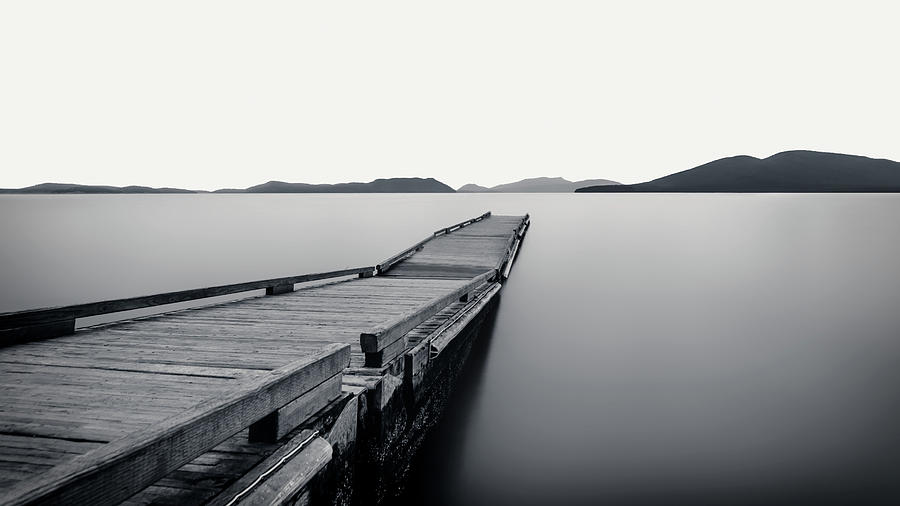 Steer Your Way Photograph by Arpad Jasko Fine Art America