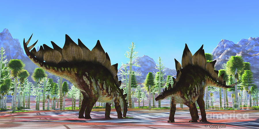 Stegosaurus Dinosaurs Digital Art by Corey Ford
