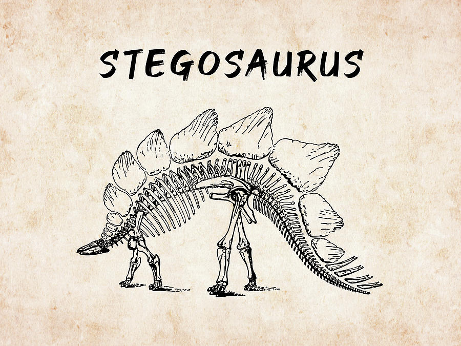 Stegosaurus Digital Art