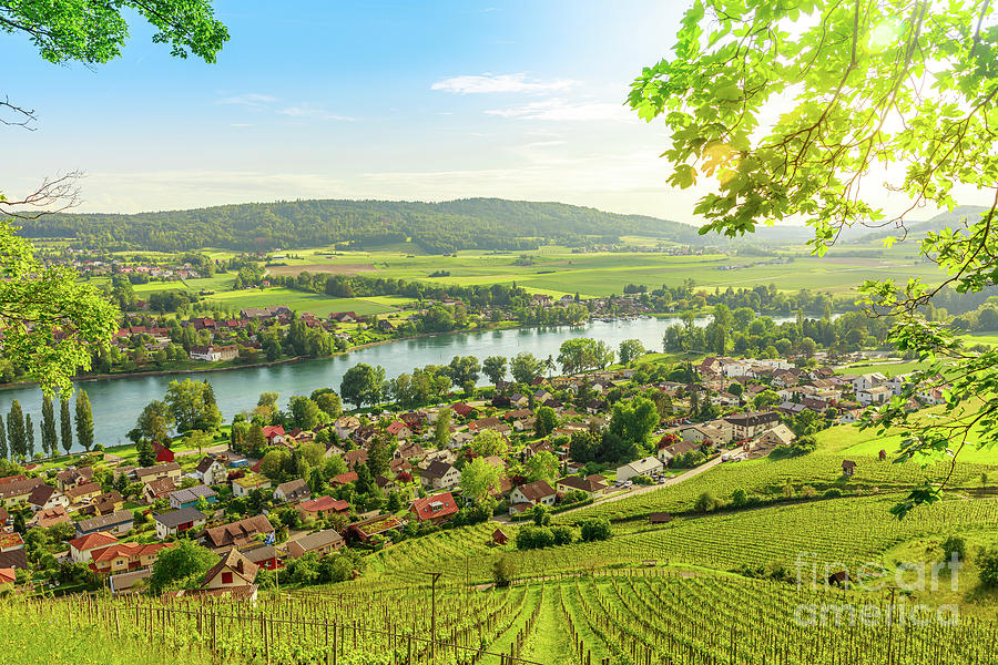 Stein am Rhein Vineyards of Switzerland Photograph by Benny Marty