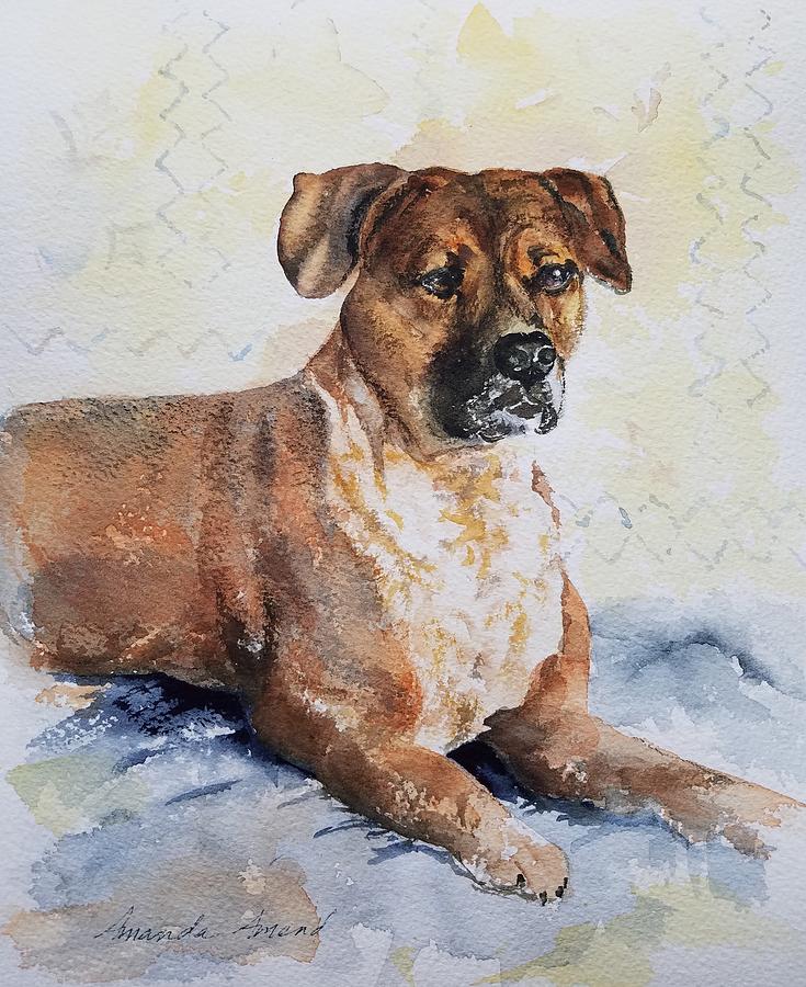 Stella Painting by Amanda Amend Stella Painting by Amanda Amend