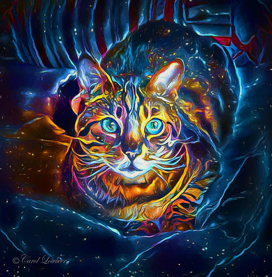 Stella the Cat by Starlight Digital Art by Carol Lowbeer - Fine Art America