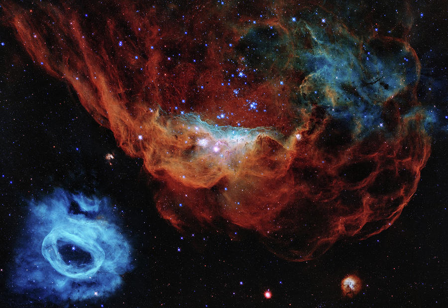 Interstellar Photograph - Stellar Nurseries NGC 2014 and NGC 2020 by Nasa
