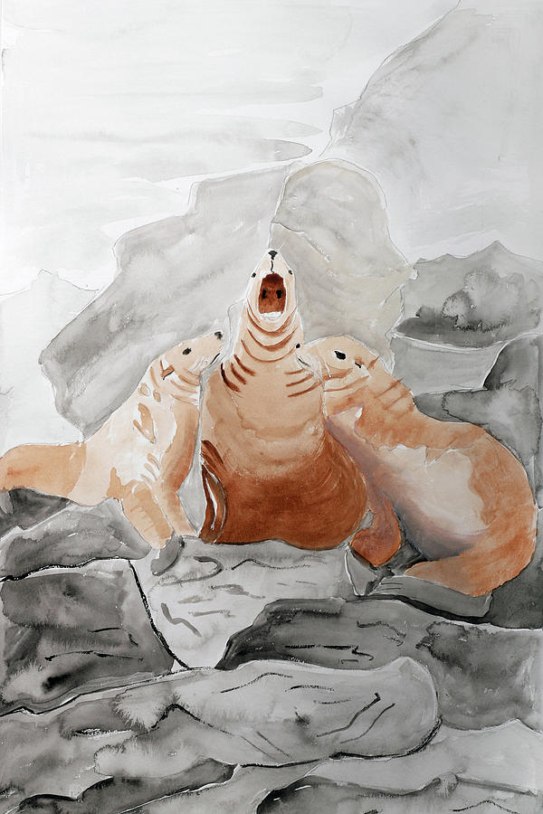 Animal Painting - Stellar Sea Lion Trio by Wynn Derr