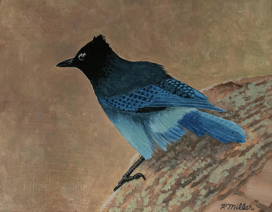 Stellar's Jay Painting by Rudolph J Miller - Fine Art America
