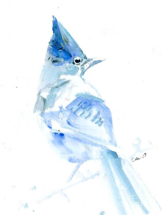 Steller Jay Painting by Cher Clemans Steller Jay Painting by Cher Clemans