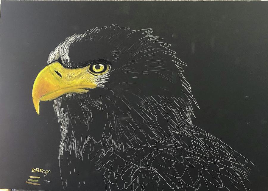 Steller Sea Eagle head Pastel by Richard Le Page