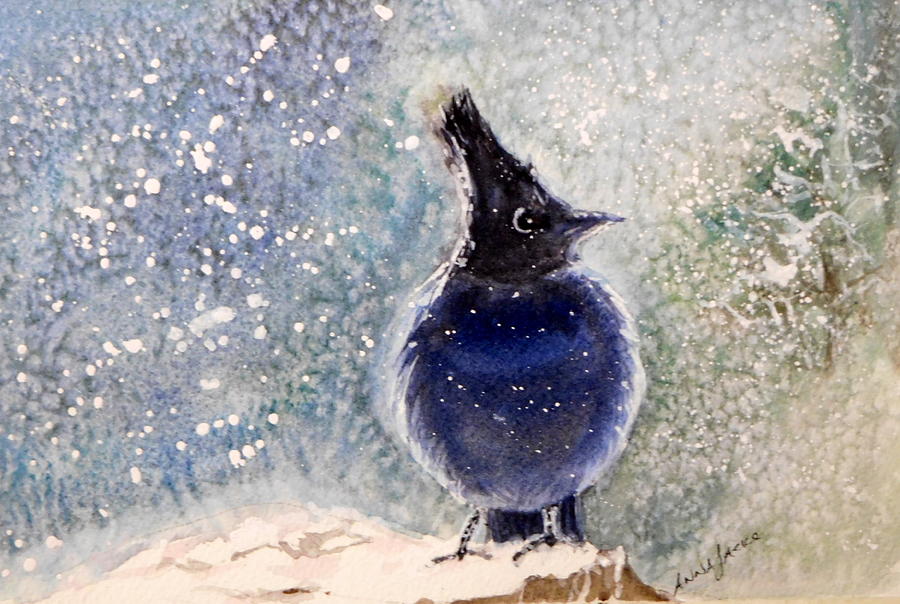 Stellers Jay Painting by Anna Jacke