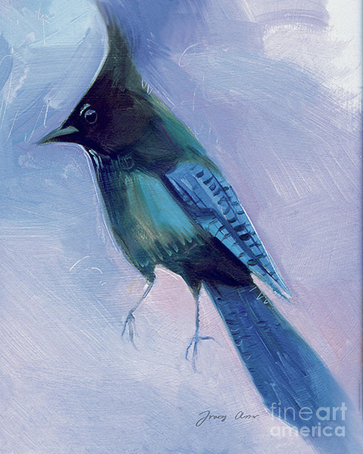 Stellers Jay Painting by Tracy Herrmann