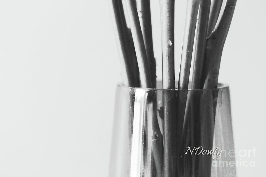 Stems in Vase Photograph by Natalie Dowty
