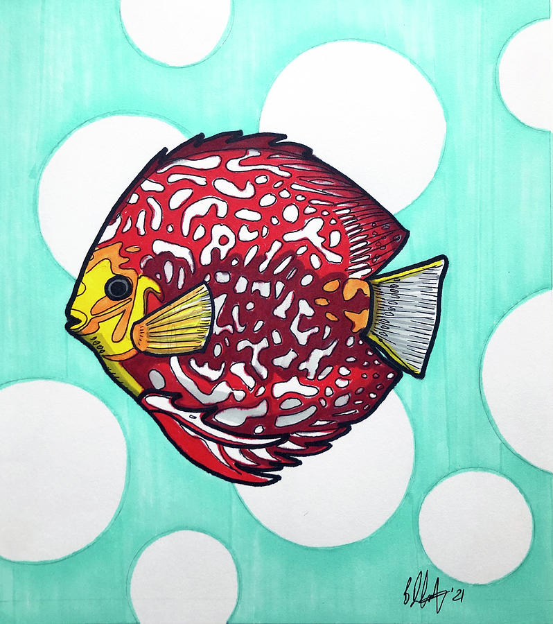 Stendker Discus Fish Drawing by Creative Spirit