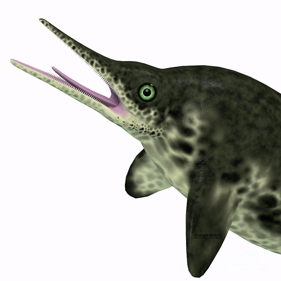 Stenopterygius Ichthyosaur Head Digital Art by Corey Ford