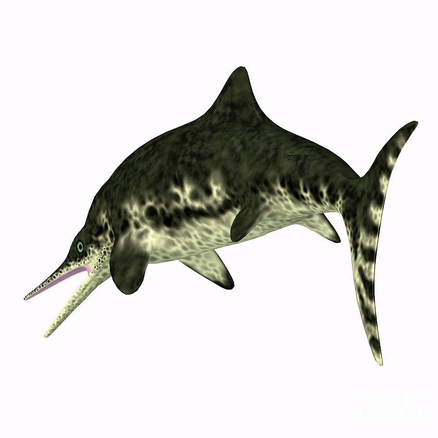 Stenopterygius Ichthyosaur Tail Digital Art by Corey Ford