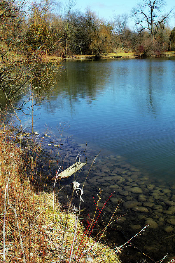 Step Back And Look Photograph by Cyryn Fyrcyd - Fine Art America