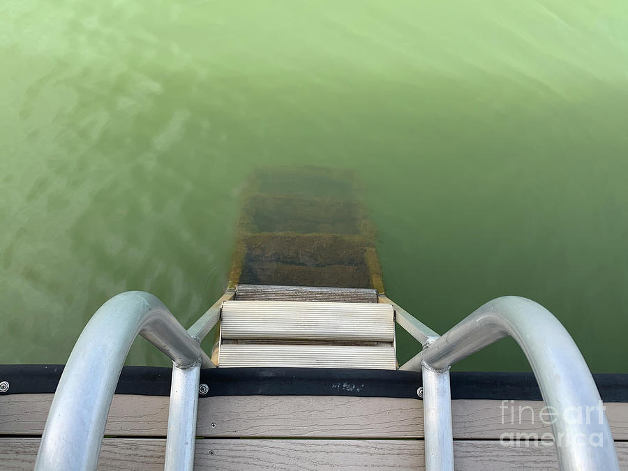 Step Down Into Lake Hartwell Photograph