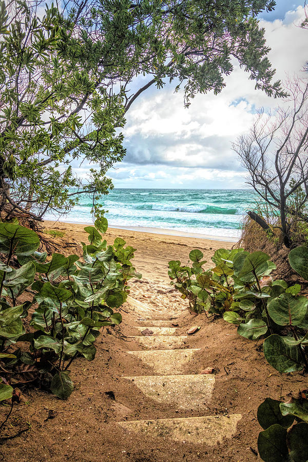 Step Down into Paradise Photograph by Debra and Dave Vanderlaan