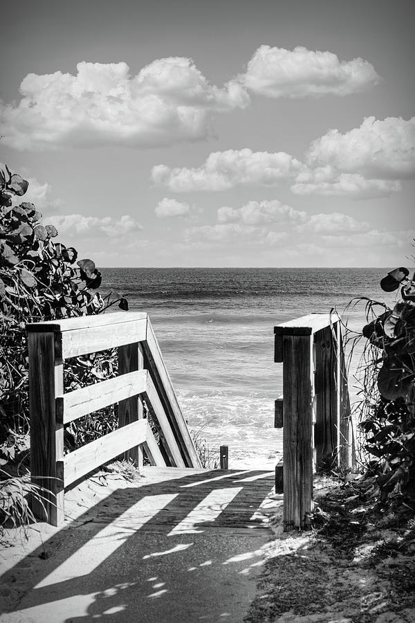 Step Down onto the Beach in Black and White Photograph by Debra and Dave Vanderlaan