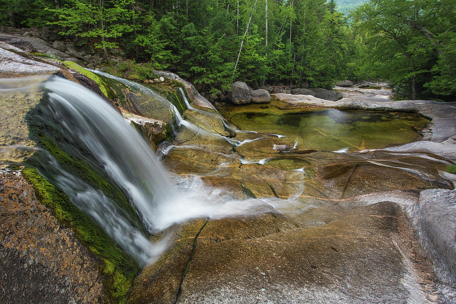 Step Falls Preserve Photograph by White Mountain Images