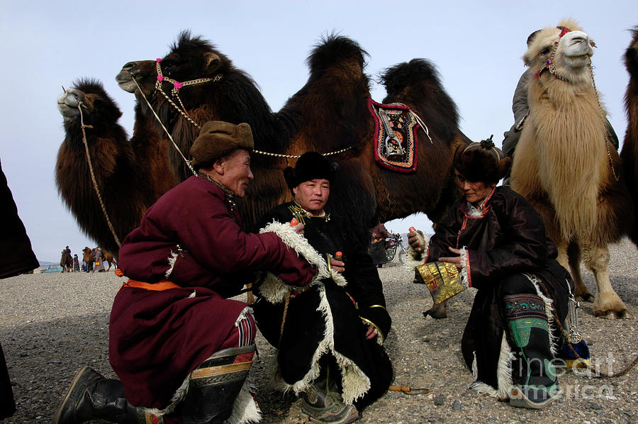 Steppe meeting Photograph by Elbegzaya Lkhagvasuren