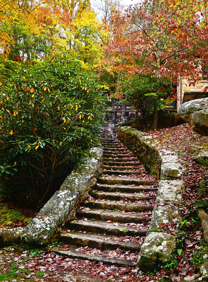 Stepping into Autumn Photograph by Lisa Lambert-Shank