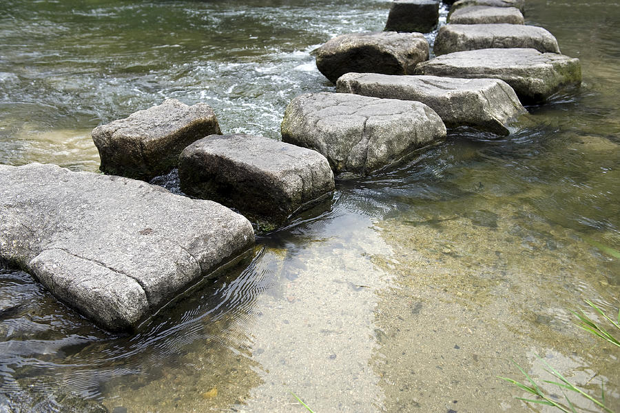 Stepping stones Photograph by Kevinjeon00