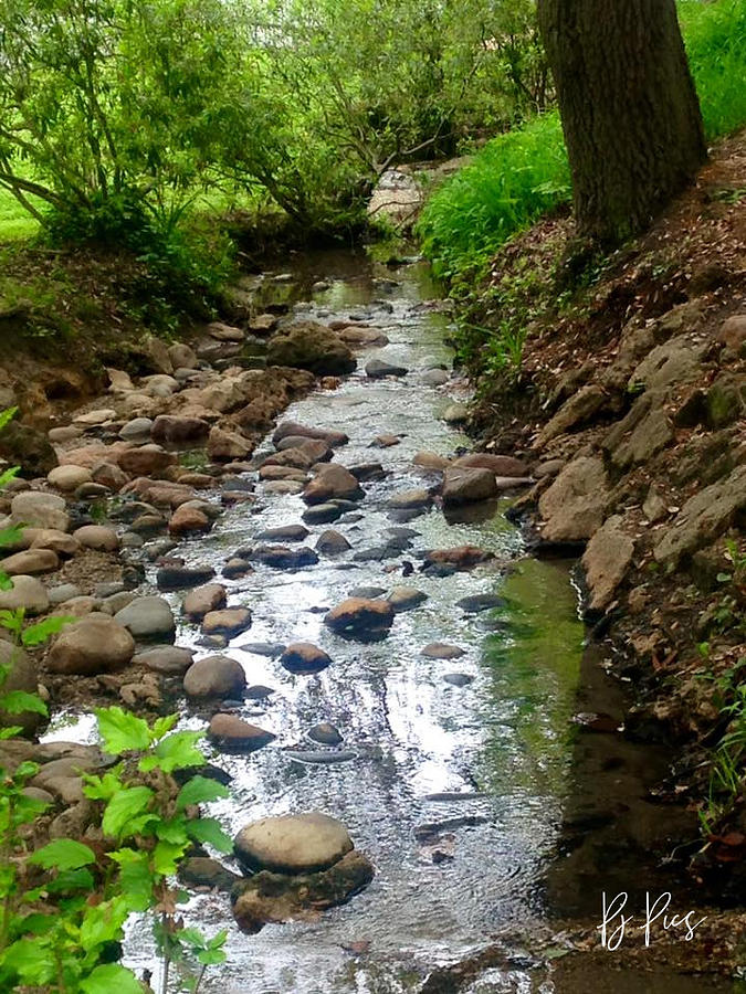 Stepping Stones Photograph by Pamela Lee Jenkins - Fine Art America