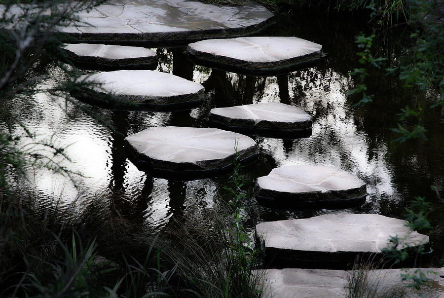 Black And White Photograph - Stepping Stones by Siene Browne Black And White Photograph - Stepping Stones by Siene Browne