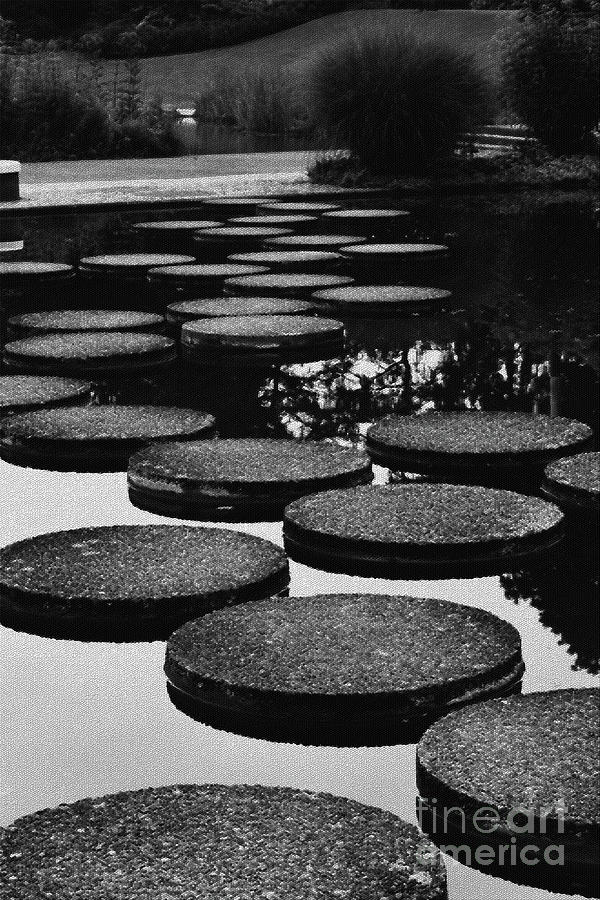 Stepping Stones Photograph by Yvonne Johnstone