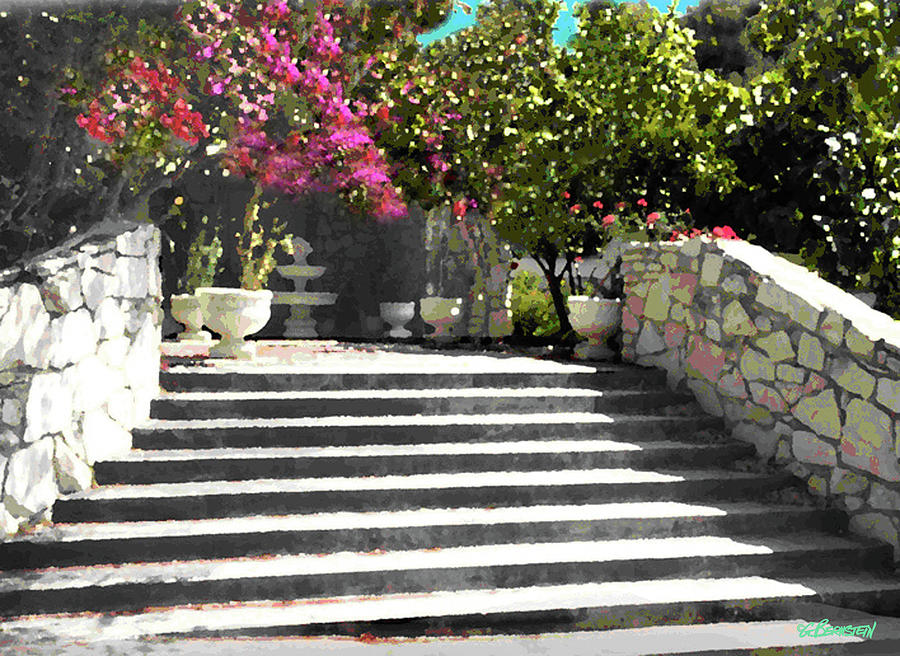 Steps and Flowers 1 . Beverly Hills, CA 1980 Photograph by Gary Bernstein