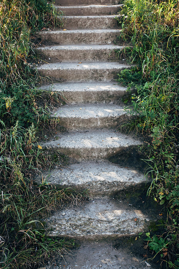 Steps in forest Photograph by Vasily Pindyurin