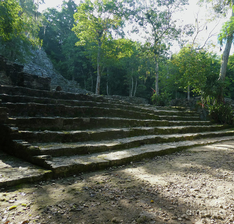 Steps in the Jungle, Mexico Photograph by Francesca Mackenney